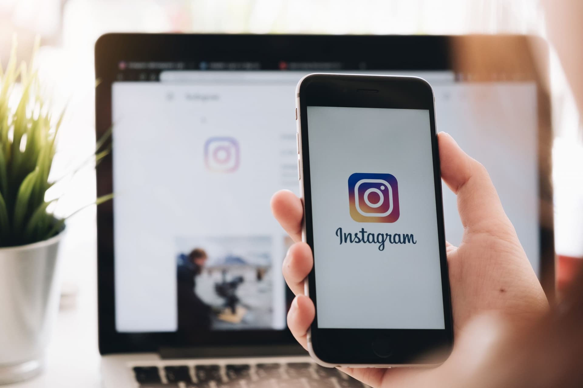 AboLöwe: Günstige Instagram Kommentare für deinen Erfolg