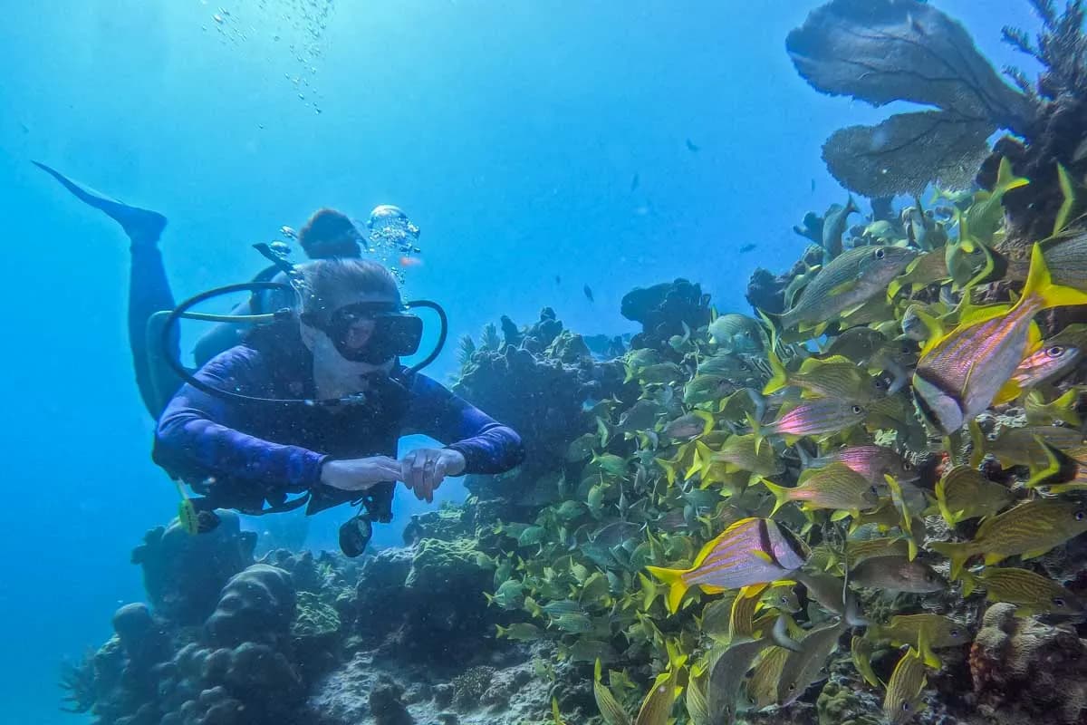 Tauchen Mexiko mit Profi-Guides von DeepDiveMexico